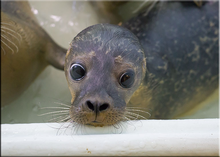 Fiona - photo taken on 23rd July 2016