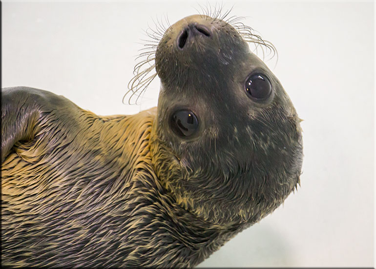 Fiona - photo taken on 26th June 2016