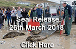 Seal Release - 26th March 2018 Photos