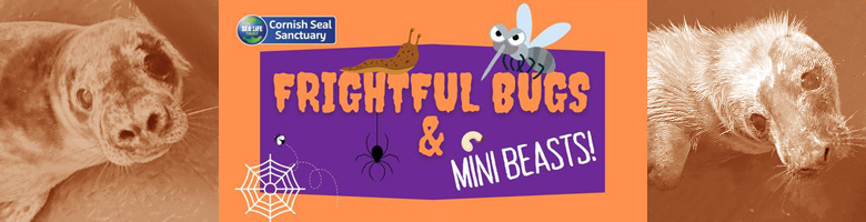 FRIGHTFUL BUGS AND MINI BEASTS! - 26TH OCTOBER TO 3RD NOVEMBER 2024