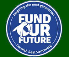 Fund Our Future