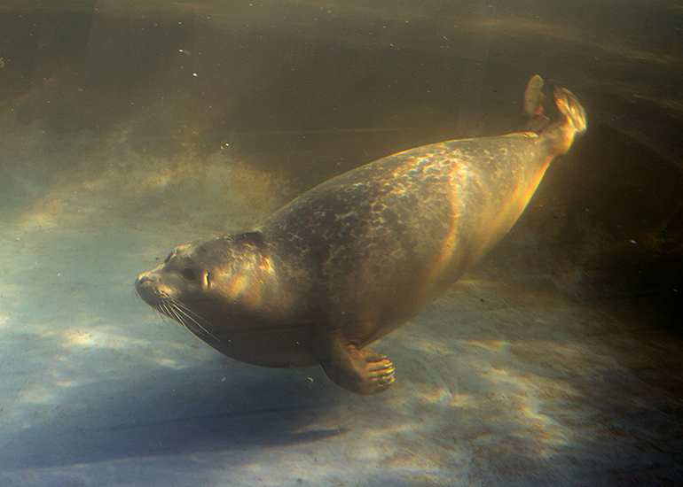 Lady Gaga - photo taken on 27th October 2019