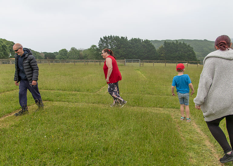 Grass Maze