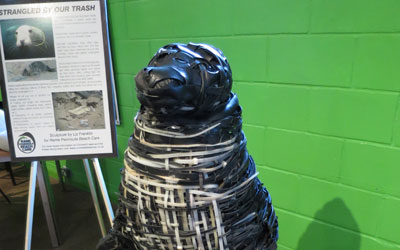 Grey seal sculpture