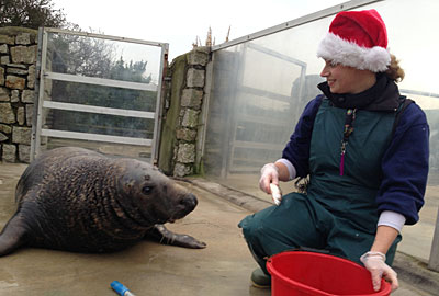 Its not just Santa Working on Christmas Day!