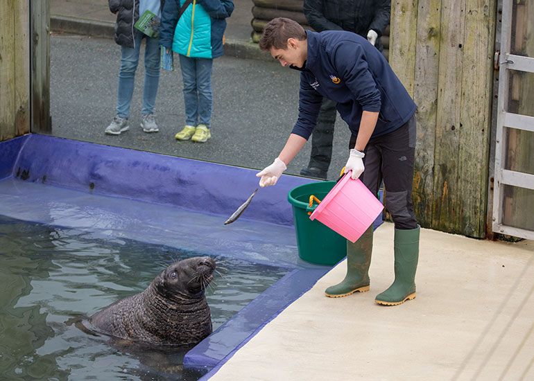 Cornish Seal Sanctuary