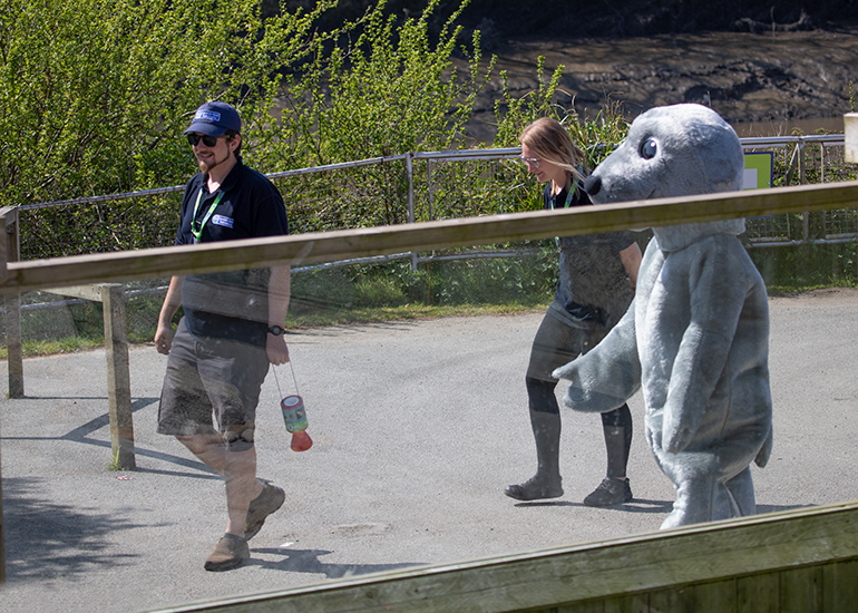 Cornish Seal Sanctuary