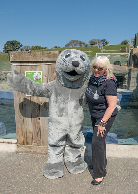 Cornish Seal Sanctuary