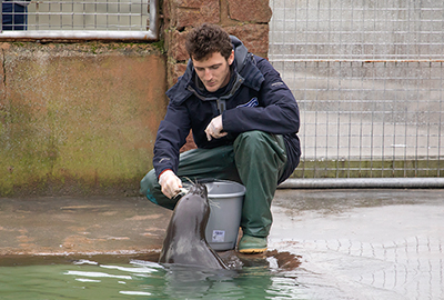 Joe feeding Jinx