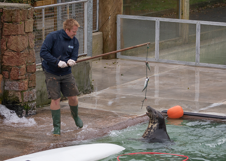 Cornish Seal Sanctuary