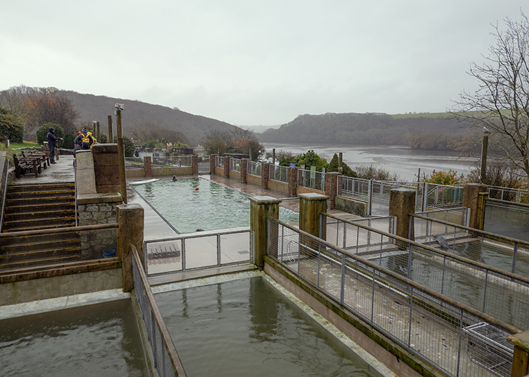 Cornish Seal Sanctuary