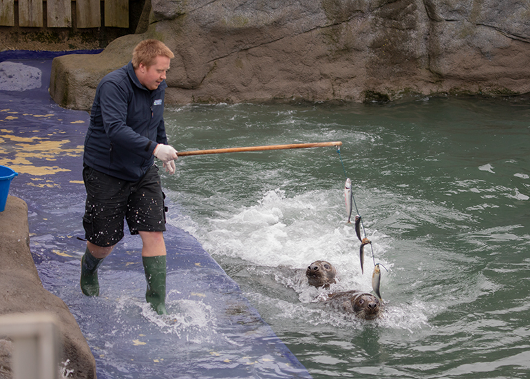 Mikolaj doing enrichment feeding!