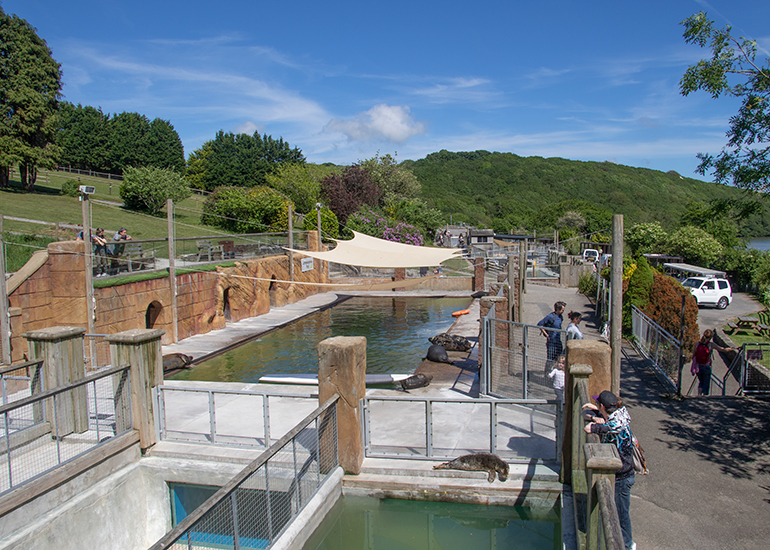 View of the nusrery and convalescent pools