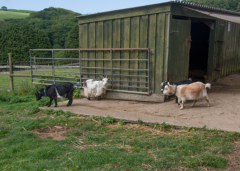 Marvin, Steve, Ernie and Bertie