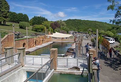 View of Nursery and Convalescent Pools