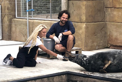 Love Island's Lucie couples up with the Seal Sanctuary