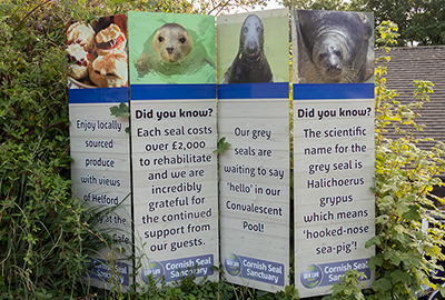 You will see these signs in the car park