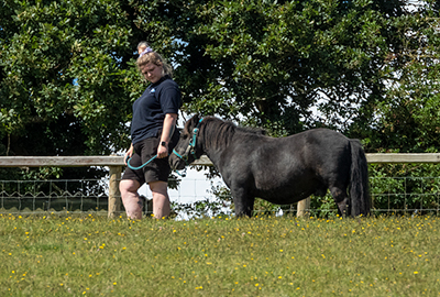 Bek with Bracken