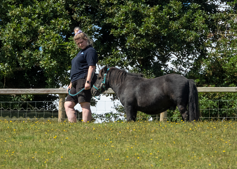 Bek with Bracken