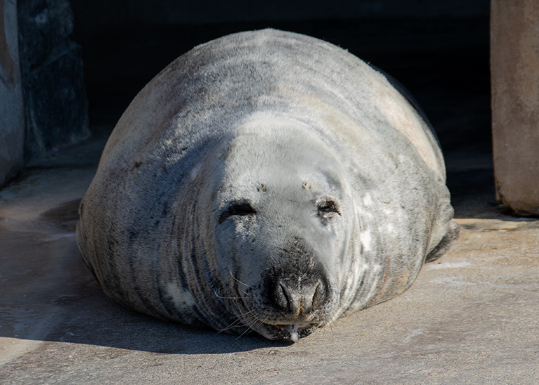 Ray enjoying his Saturday morning sunshine!