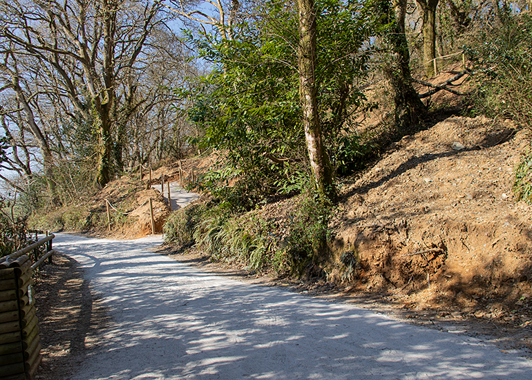 Woodlands Walk