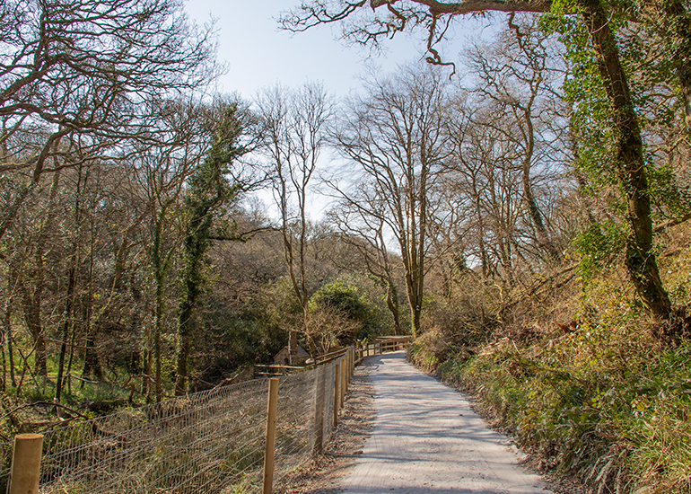 Woodlands Walk
