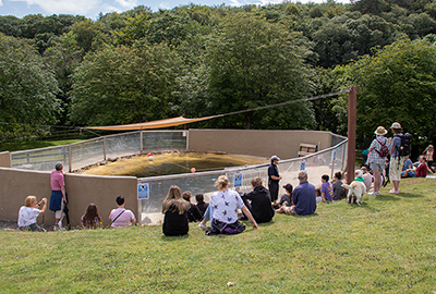 Common Seals Talk by Asa