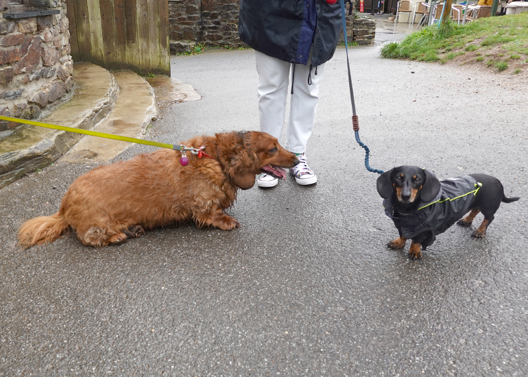 When Tara met Woody!