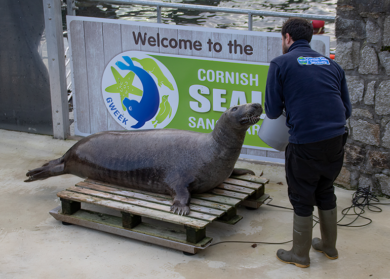 Elliot got Ray onto the scales to be weighed!
