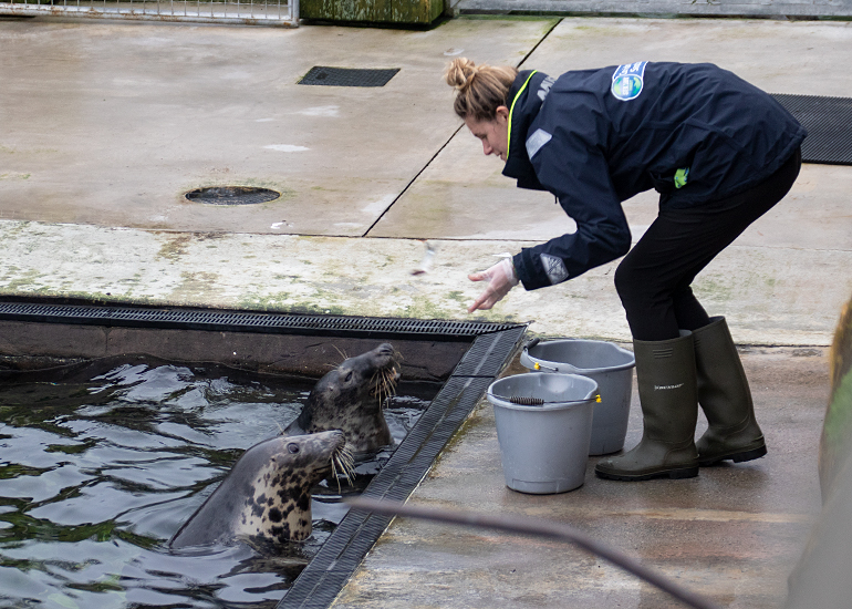 Katherine trying to explain to Jinx and Ayla no more fish left!
