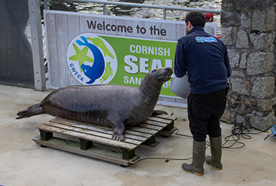Elliot got Ray onto the scales to be weighed!
