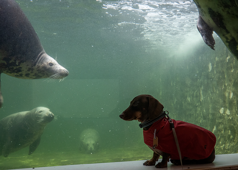 Don't look to your right Barney but you are being watched! Yike!