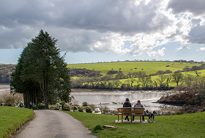 View across the Helford Estuary