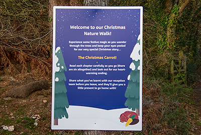 Christmas Nature Walk