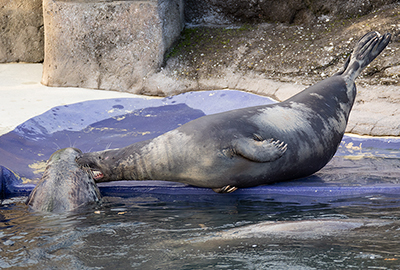 How many times...dont wake me up!