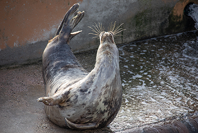 Aayla - A lovely Stretch!