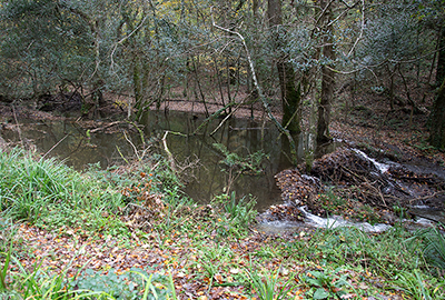 The dam looks amazing