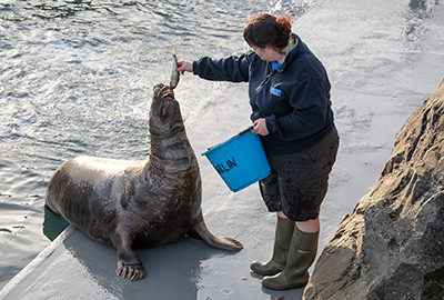 Emma feeding Marlin!