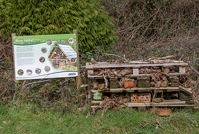Bugs Hotel