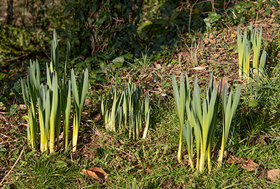 Spring is coming!