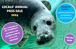 Issue 227 - December 2023