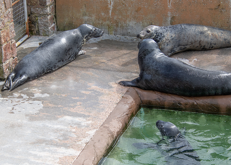 Residents