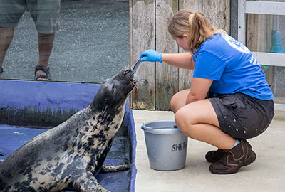 Sheba being fed by Polly!   Did you know that Sheba is 48 years young