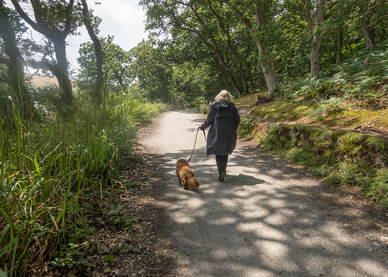 Woodlands Walk