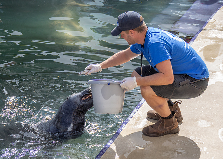 Ben feeding Marlin