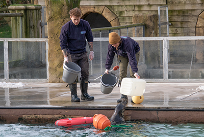Animal Care Team