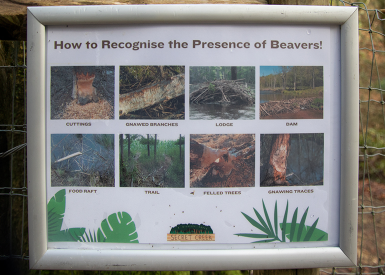 How to Recognise the Prescence of Beavers1