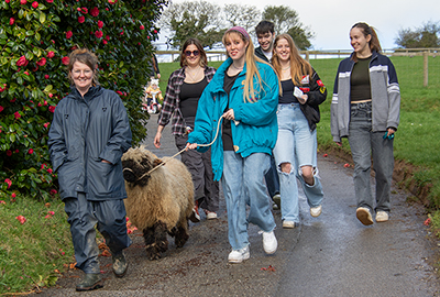 These lovely visitors walking Komper with Katie!