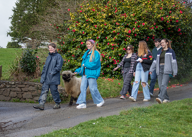 These lovely visitors walking Komper with Katie!