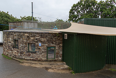 Puffin Enclosure!